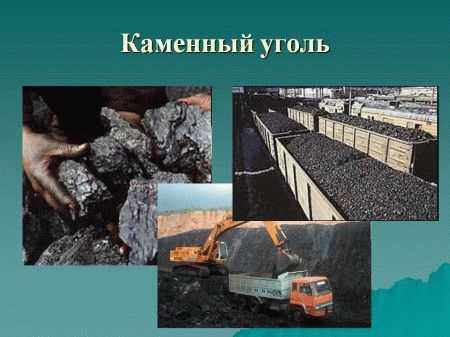 Как правильно топить печь углем
