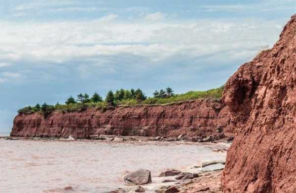 Какой раствор лучше для кладки печи Какой раствор лучше для кладки печи