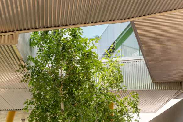 Дом на сваях, реорганизованный вокруг центрального двора Дом на сваях, реорганизованный вокруг центрального двора