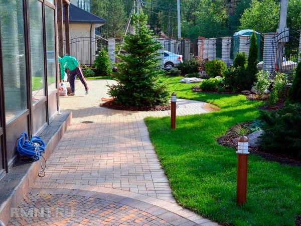 Хвойные растения в ландшафтном дизайне: фотоподборка Хвойные растения в ландшафтном дизайне: фотоподборка