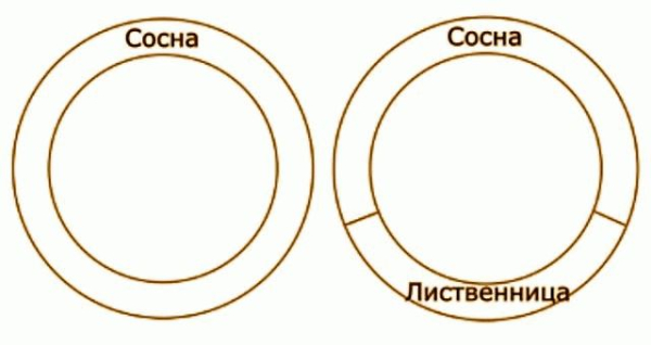 Устройство бани бочки Устройство бани бочки
