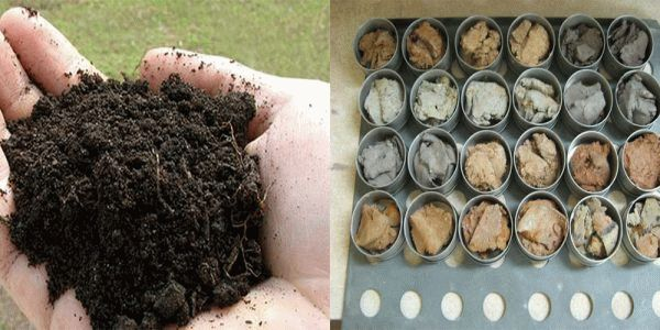 Глубина заложения фундамента для бани расчет Глубина заложения фундамента для бани расчет