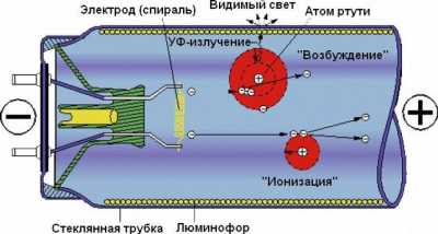 Неисправности светильников с люминесцентными лампами и их ремонт Неисправности светильников с люминесцентными лампами и их ремонт