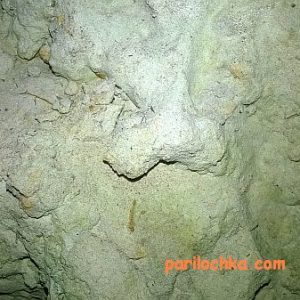 Какой лучше выбрать фундамент для бани