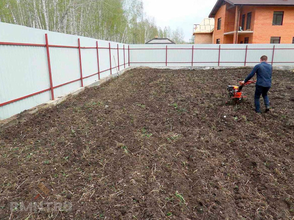 Как подготовить участок к посадке газона Как подготовить участок к посадке газона