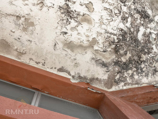 Основные причины неприятного запаха в квартире и доме Основные причины неприятного запаха в квартире и доме